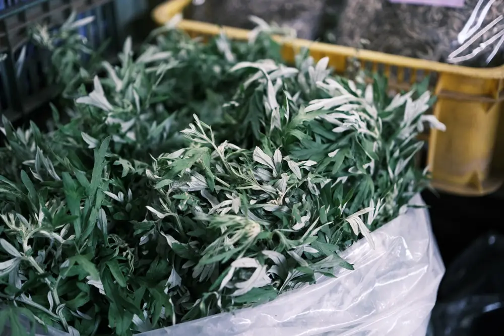 新鮮青草